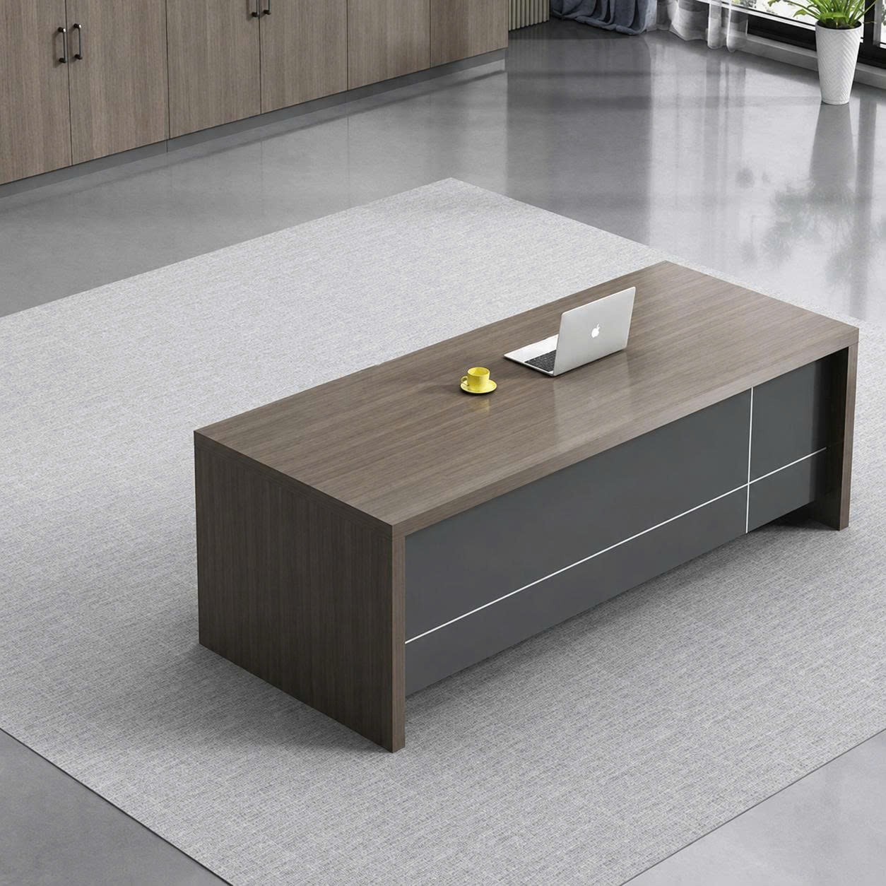  Bàn lãnh đạo QE12