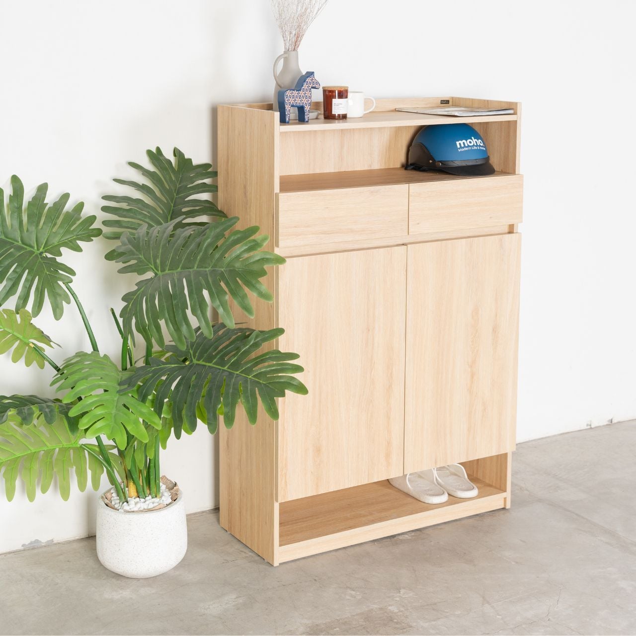 Tủ giày TGD24