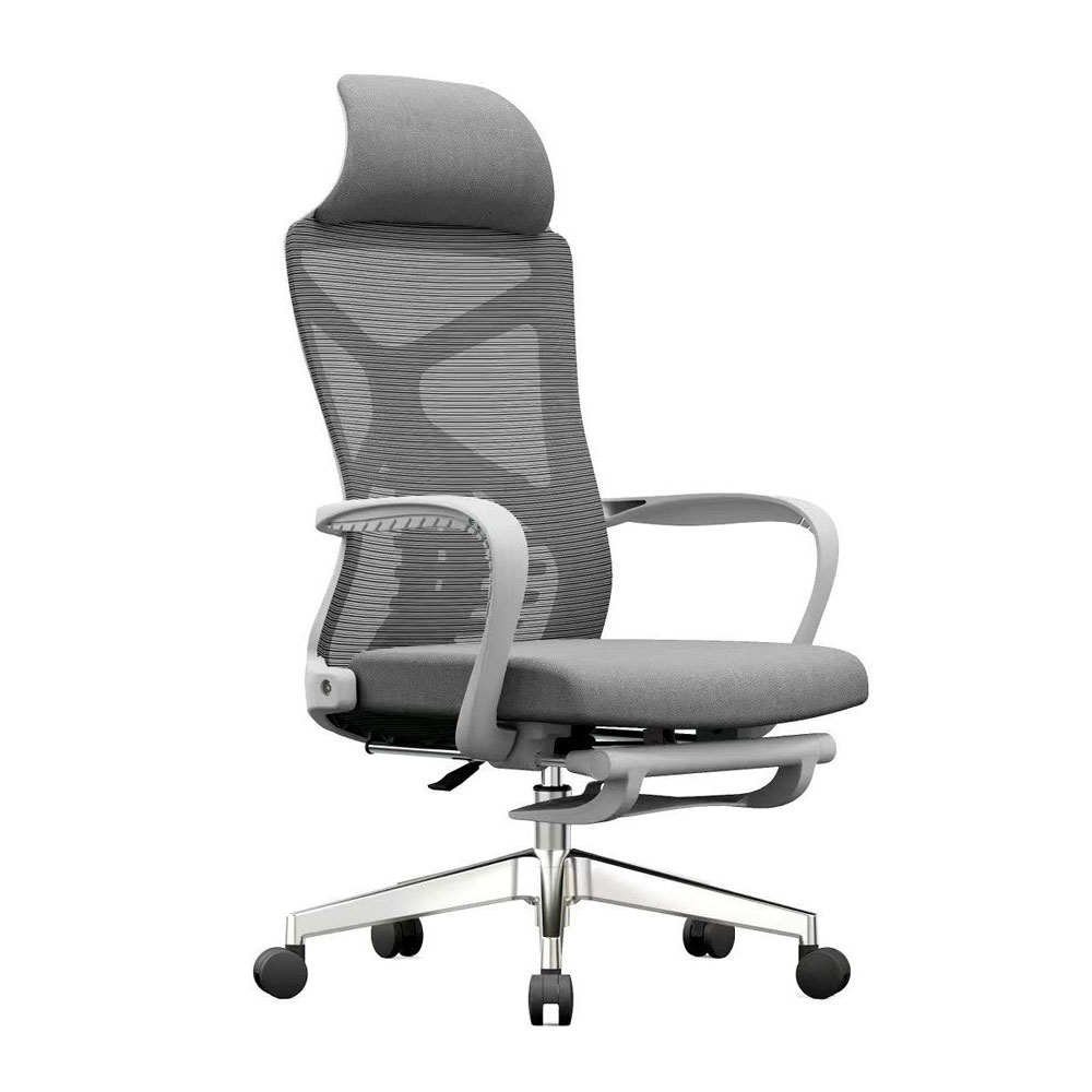 Ghế công thái học RX21