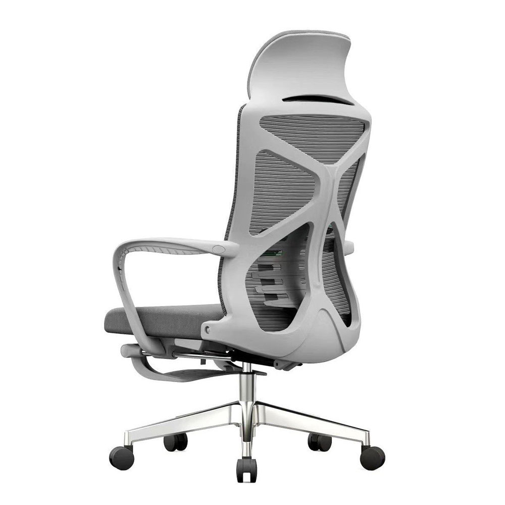 	Ghế công thái học RX21