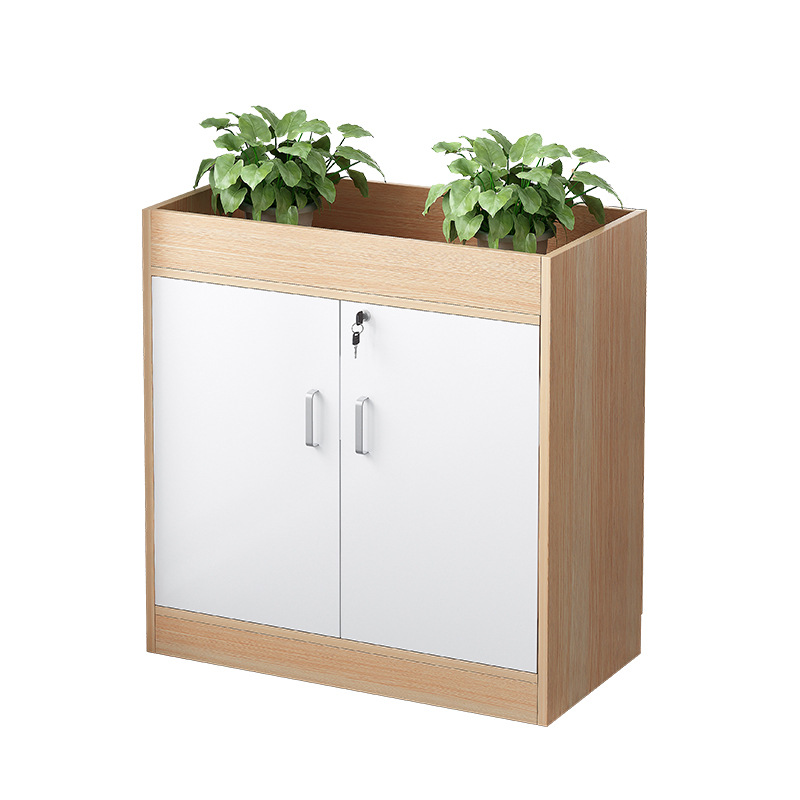 Tủ hồ sơ thấp TLT08-2