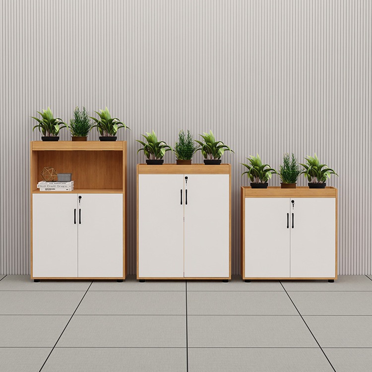 Tủ hồ sơ thấp TLT10