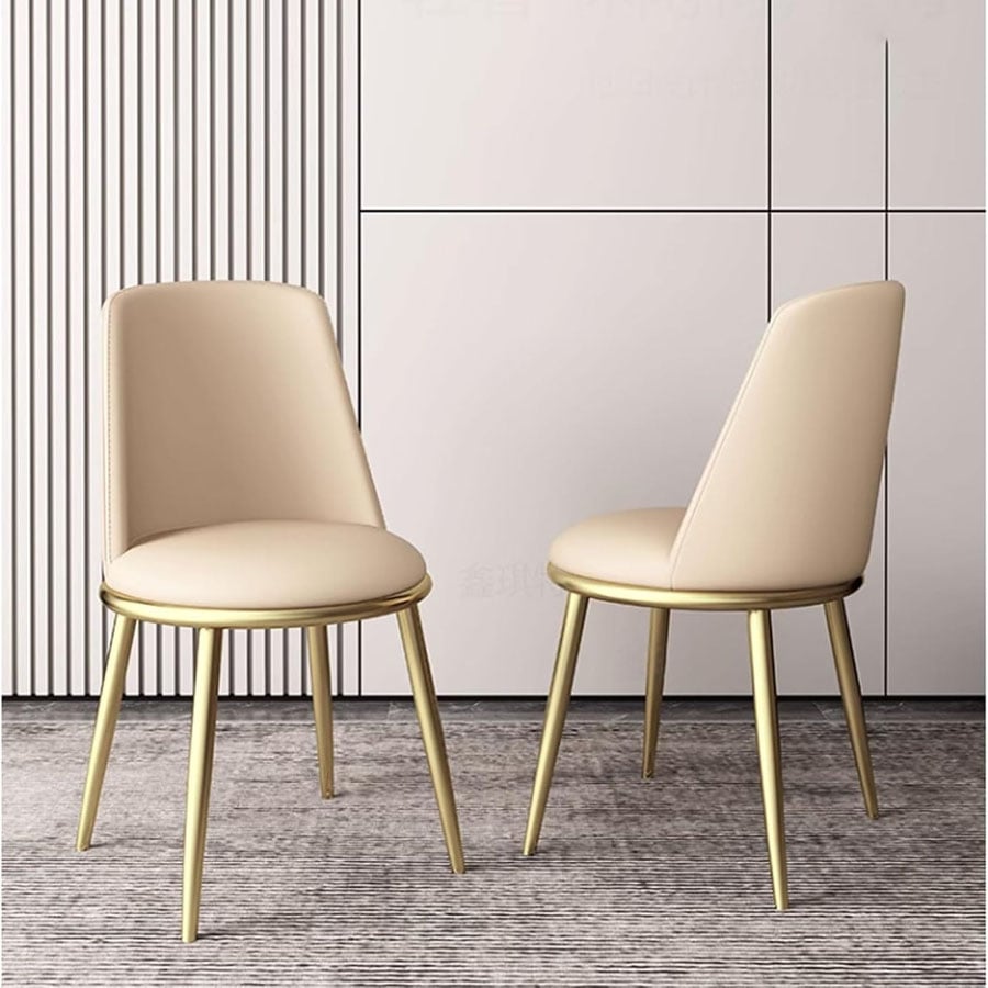 Ghế tiếp khách CF20