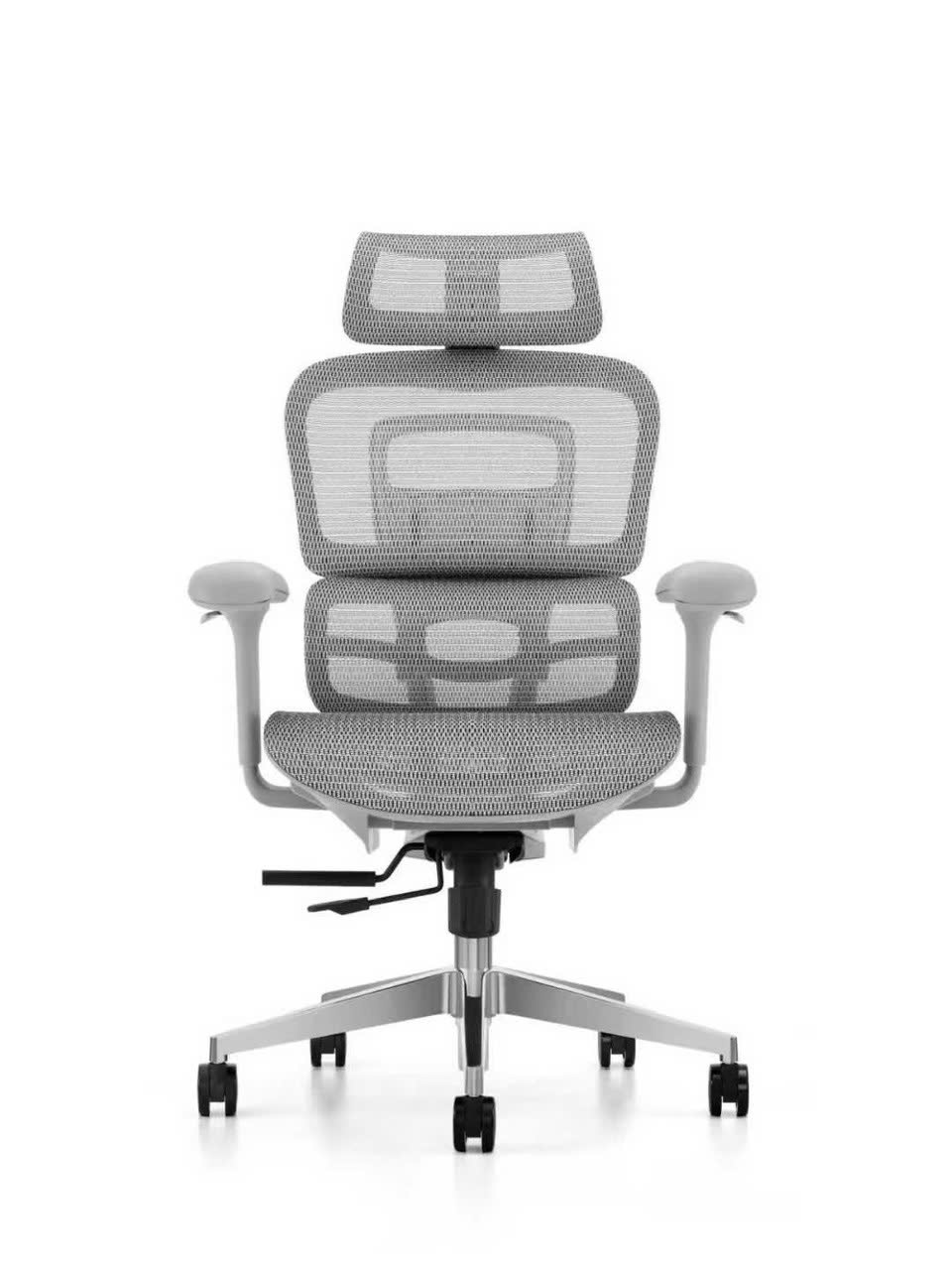 	Ghế công thái học Z01-D