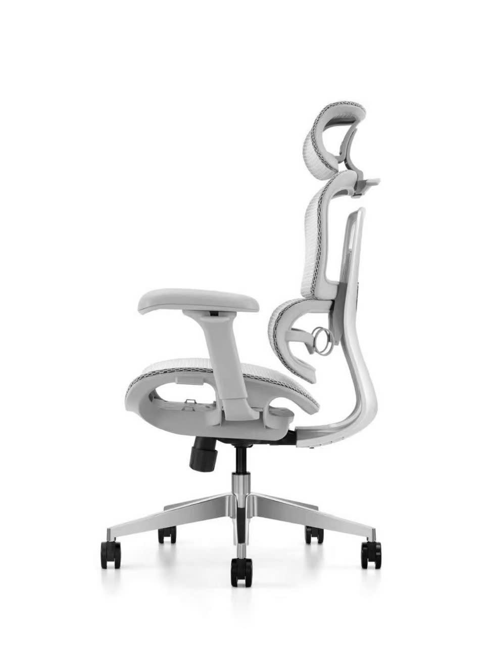 	Ghế công thái học Z01-D