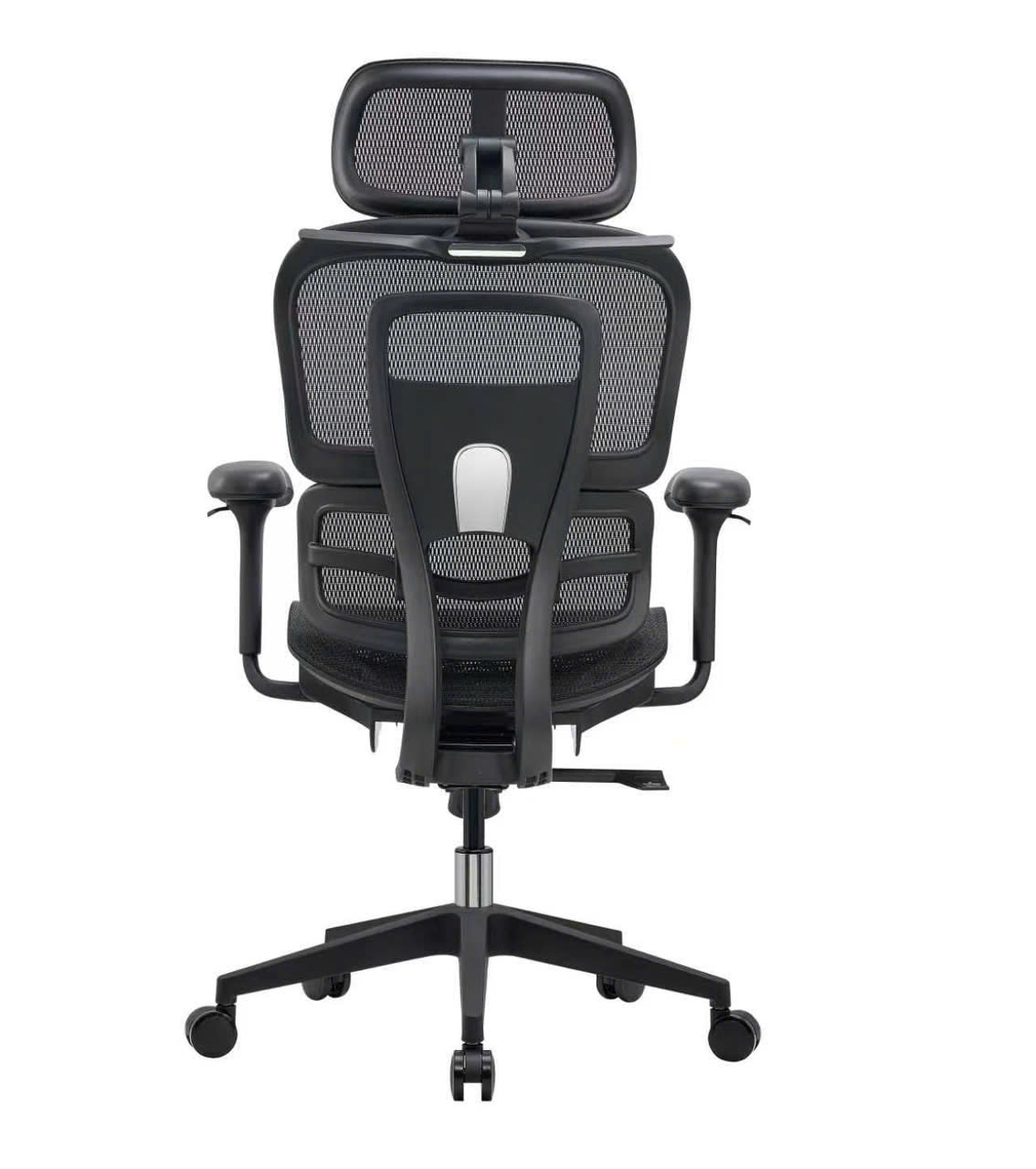 	Ghế công thái học Z01-D