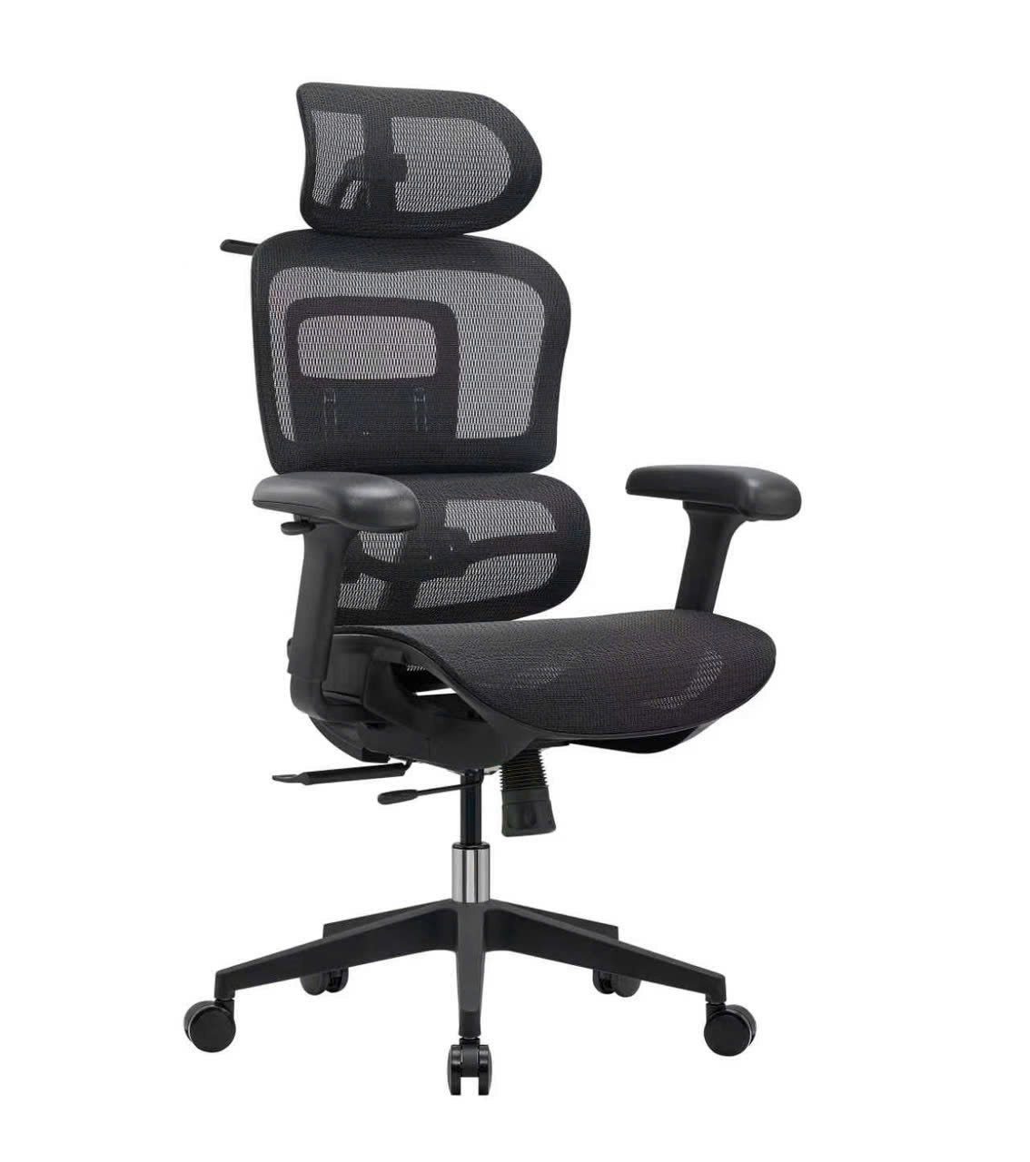 	Ghế công thái học Z01-D