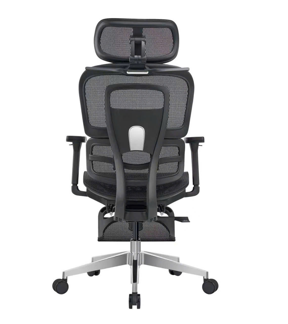 	Ghế công thái học Z01