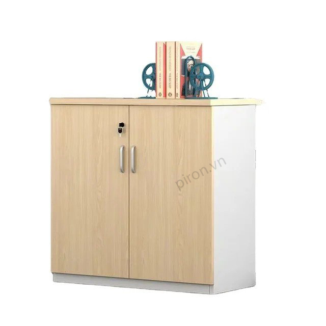 Tủ hồ sơ thấp văn phòng TL01TC-2