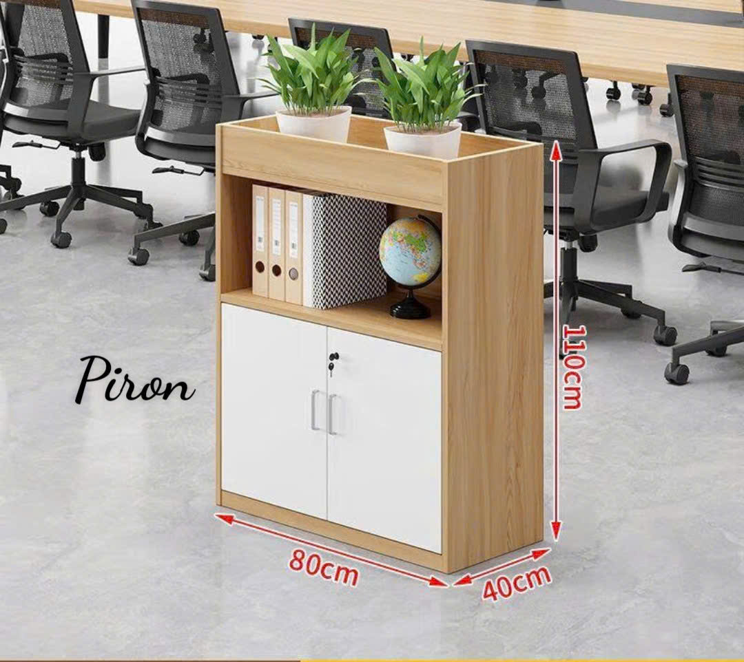 Tủ tab hồ sơ đưng cây TLT35